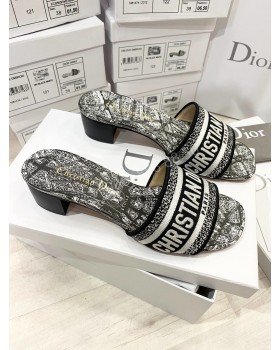 Шлепанцы Dior