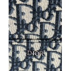 Рюкзак Dior